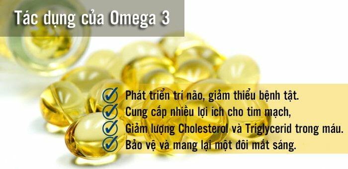 Công dụng Dầu cá cao cấp Fish Oil 1200 mg 360 mg Omega 3