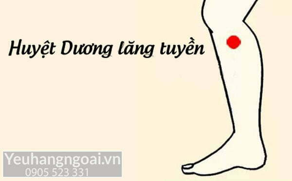 Cach Tri Thai Hoa Dot Song