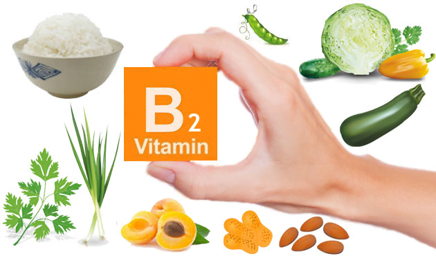 Công dụng của Vitamin nhóm B gồm B1, B2, B3, B5, B6, B7, B9, B12 10 Cong dung nhom Vitamin B