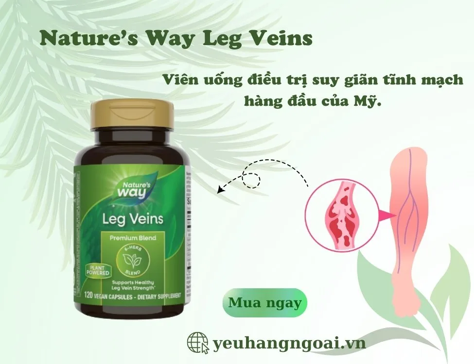 Viên Uống Nature’s Way Leg Veins Giảm Suy Giãn Tĩnh Mạch 120 Viên Của Mỹ ( Mẫu Mới Nhất ). 1 Phân Biệt Mẫu Cũ Mẫu Mới