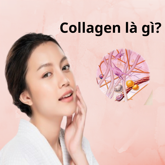 Collagen La Gi