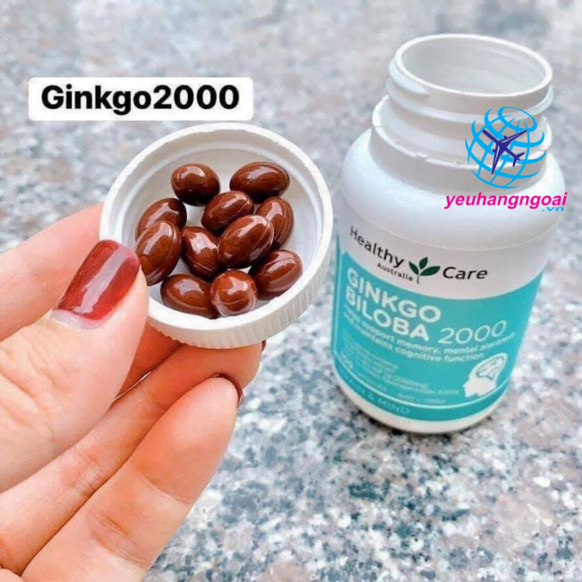 Ginkgo Biloba 2000 - Có Tác Dụng Gì Cho Sức Khỏe? 12 Ginkgo Biloba 2000 co tac dung gi?