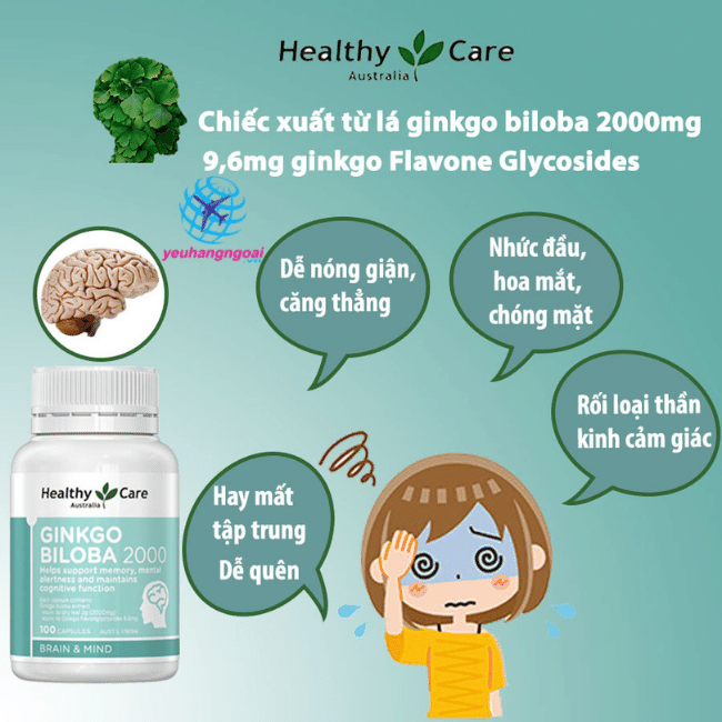 Review thuốc bổ não Ginkgo Biloba 2000mg của Úc có tốt không? 9 Uong Ginkgo Biloba co tot khong?