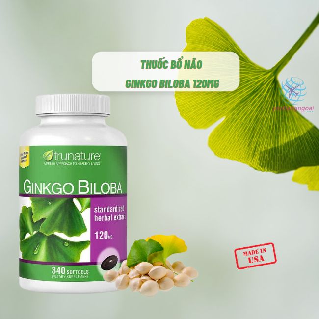 Phân Biệt Hàng Thật Hay Giả Ginkgo Biloba 120mg 340 Viên Của Mỹ 8 Thuoc Ginkgo Biloba 120mg 340 Vien Cua My