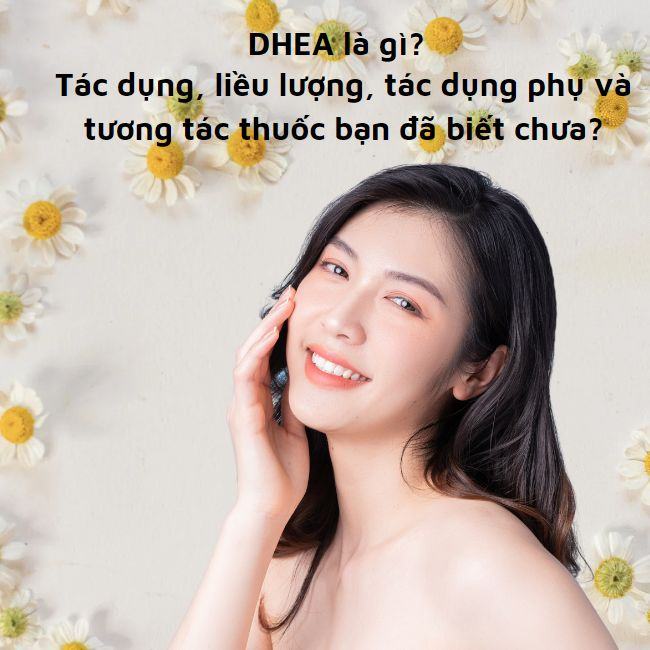 Hình đại Diện Dhea