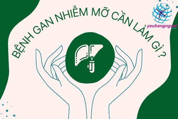 Bệnh Gan Nhiễm Mỡ Cần Làm Gì
