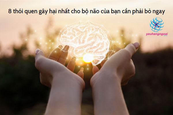 8 Thói Quen Gây Hại Nhất Cho Bộ Não Của Bạn