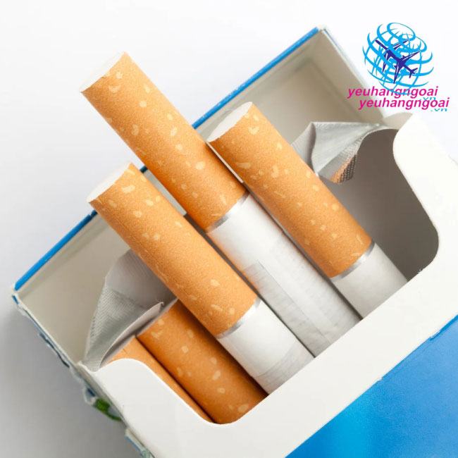 8 Thói Quen Gây Hại Cho Não Bạn Cần Phải Bỏ Ngay 13 Thường Xuyên Hút Thuốc