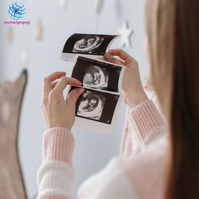 Dha Của Bà Bầu Uống Khi Nào Dha Của Bà Bầu Uống Khi Nào