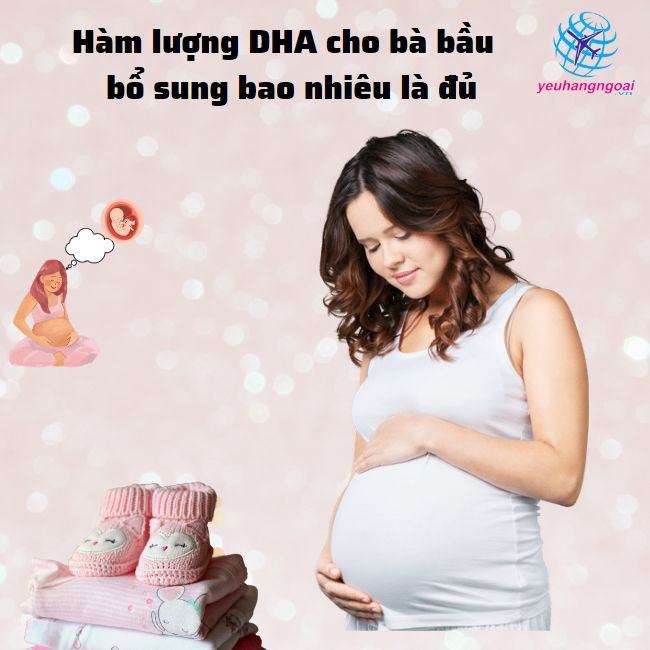 Hàm Lượng Dha Cho Bà Bầu Bổ Sung Bao Nhiêu Là đủ