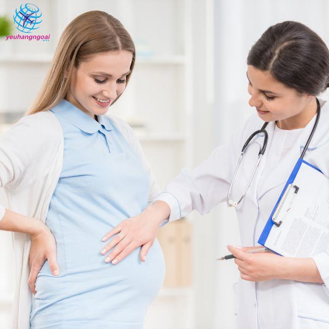 Dha Của Bà Bầu Uống Khi Nào Dha Của Bà Bầu Uống Khi Nào
