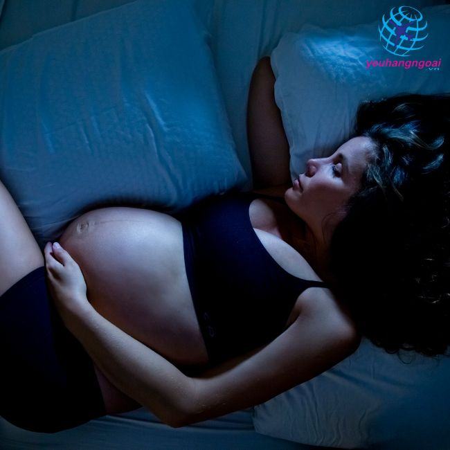Dha Cho Bà Bầu Uống Khi Nào Dha Cho Bà Bầu Uống Khi Nào