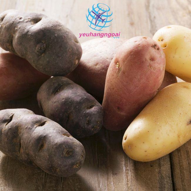 8 Loại Thực Phẩm Bổ Sung Canxi Cho Người Lớn Phong Phú 17 Thực phẩm bổ sung Canxi cho người lớn