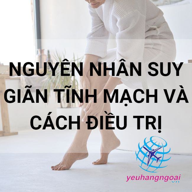 Nguyen Nhan Suy Gian Tinh Mach Ab