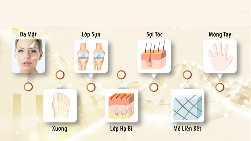 Cà phê Collagen Bổ sung collagen có thể mang lại lợi ích gì cho sức khỏe? Ca phe Collagen