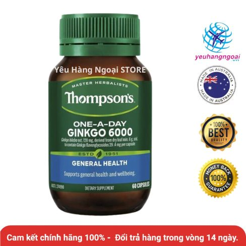 Rối loạn tiền đình: Thuốc điều trị tốt nhất và những thông tin liên quan bạn nên biết. 12 thuoc tang cuong tri nho ginkgo biloba