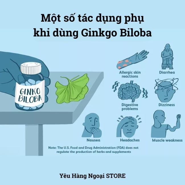 Ginkgo Biloba 2000 - Có Tác Dụng Gì Cho Sức Khỏe? 10 ginkgo biloba 2000 có tot khong