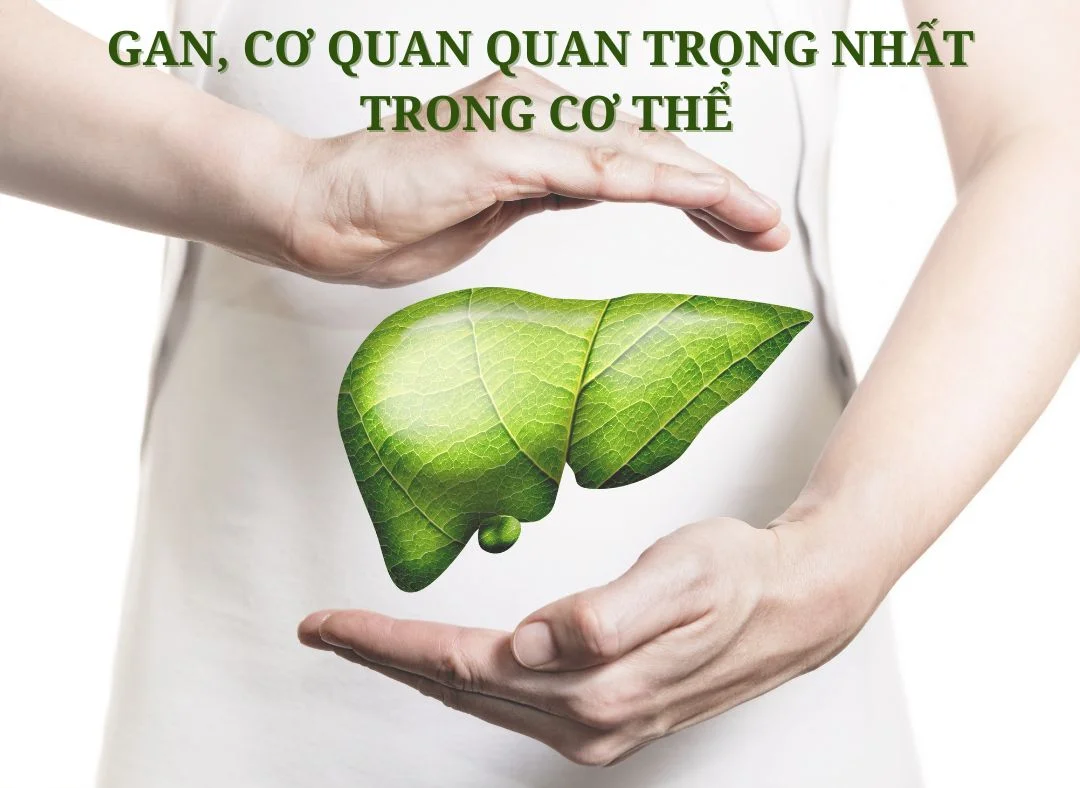 Những câu hỏi thường gặp về thực phẩm chức năng giải độc gan của Mỹ